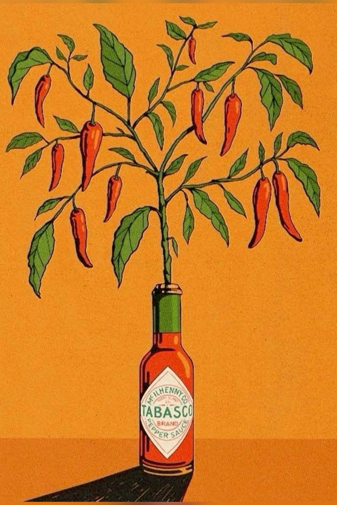 Vintage Hot Sauce Poster, Botanical …