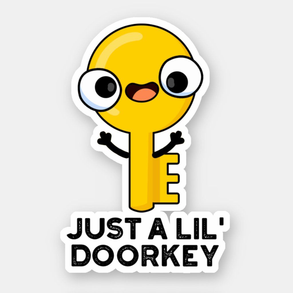 Just A Lil Door-key Cute Dorky Key P …