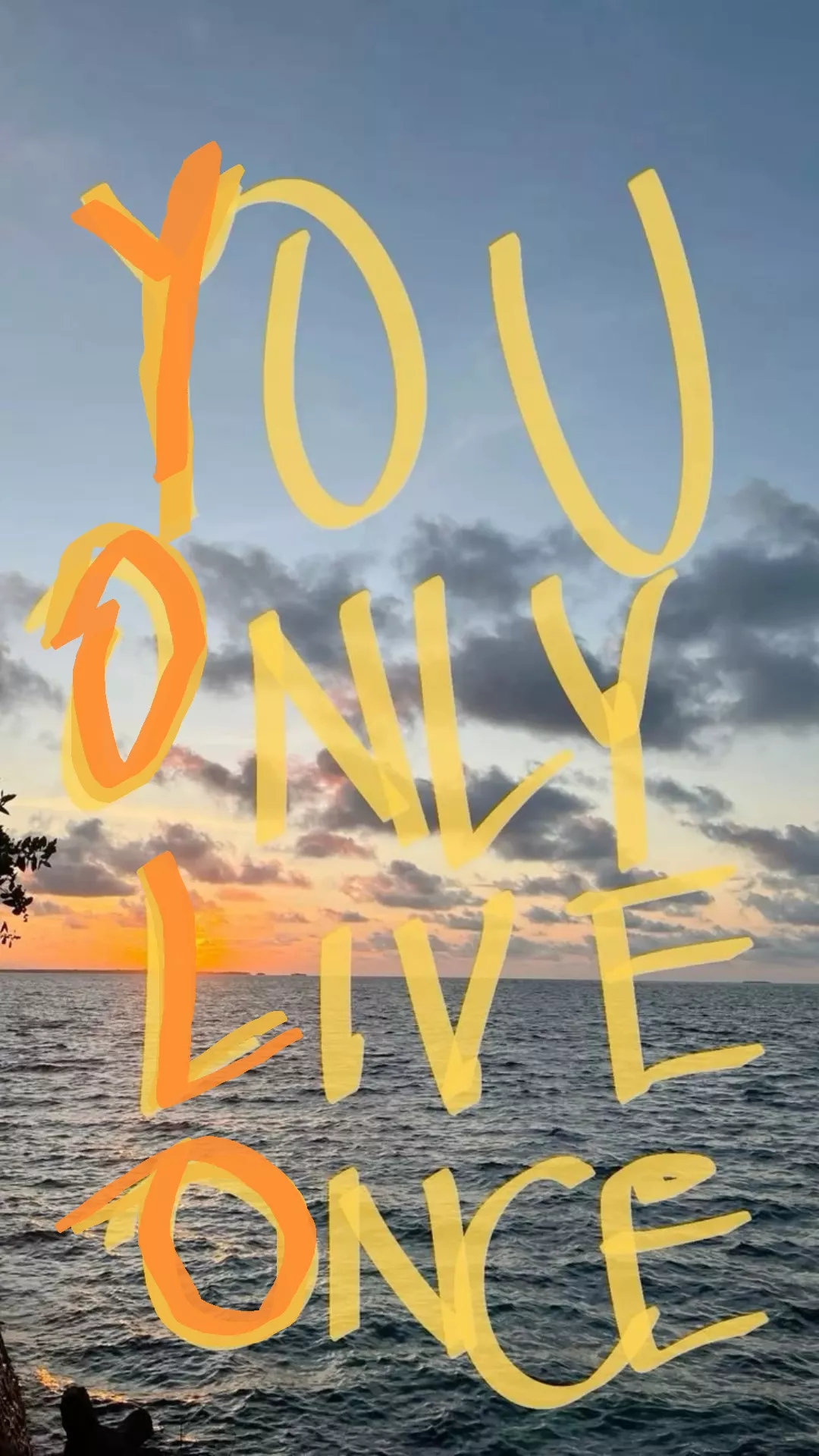 You Only Live Once Poster, Ocean Lif &hellip;