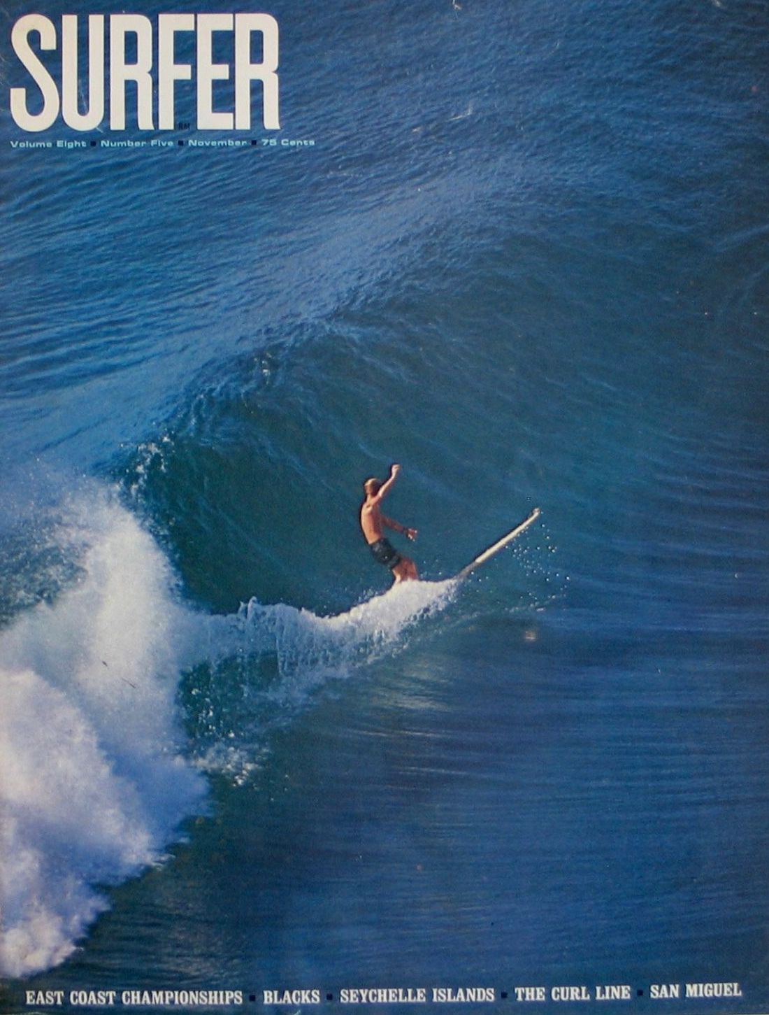 Retro Surfer Riding Wave Poster, Oce …