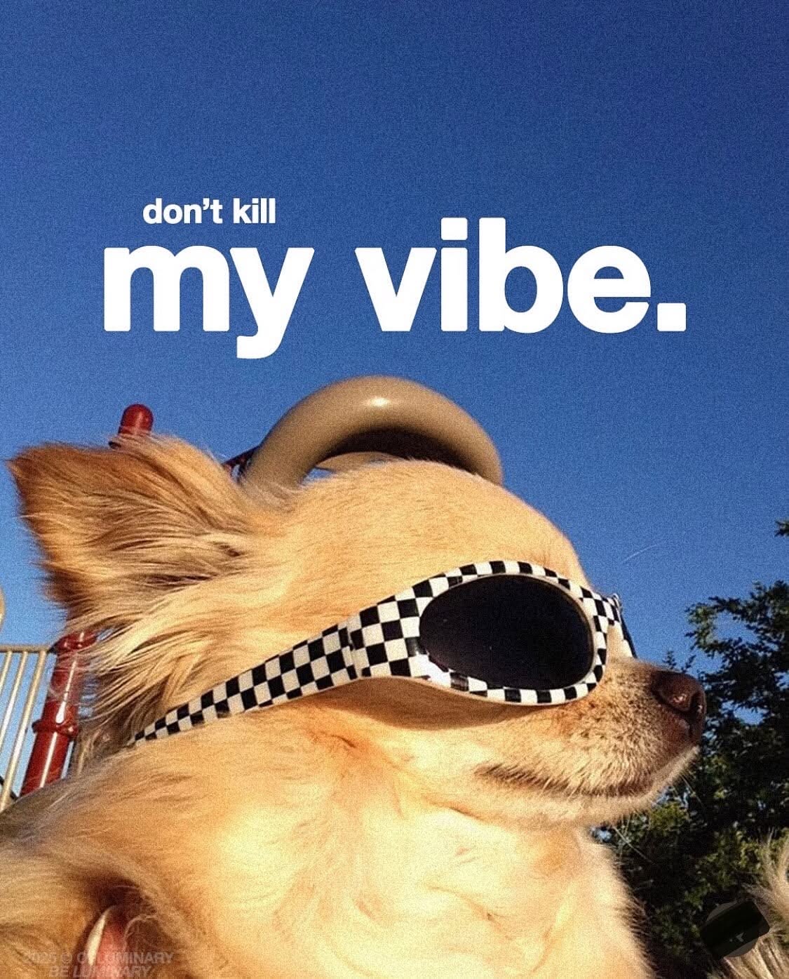 Don’t Kill My Vibe Poster, Ret …