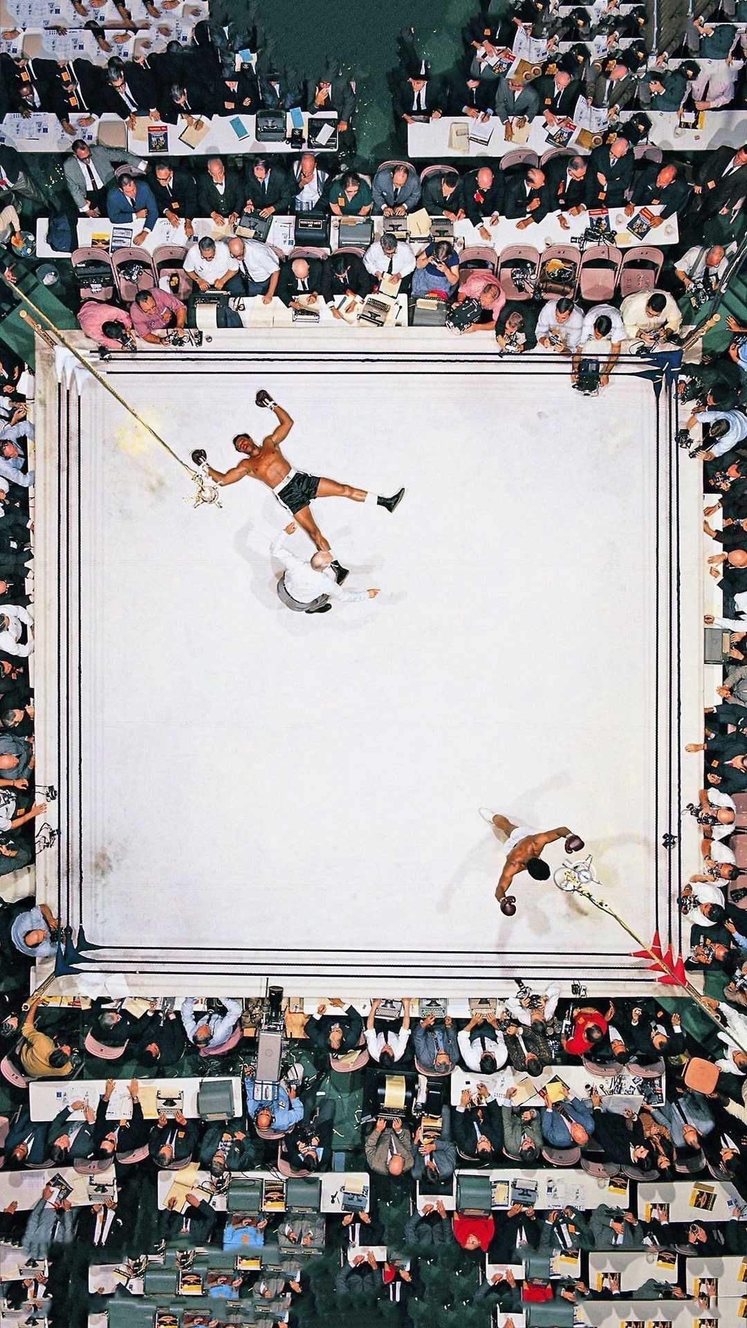 Aerial Wrestling Ring Poster, Vintag …