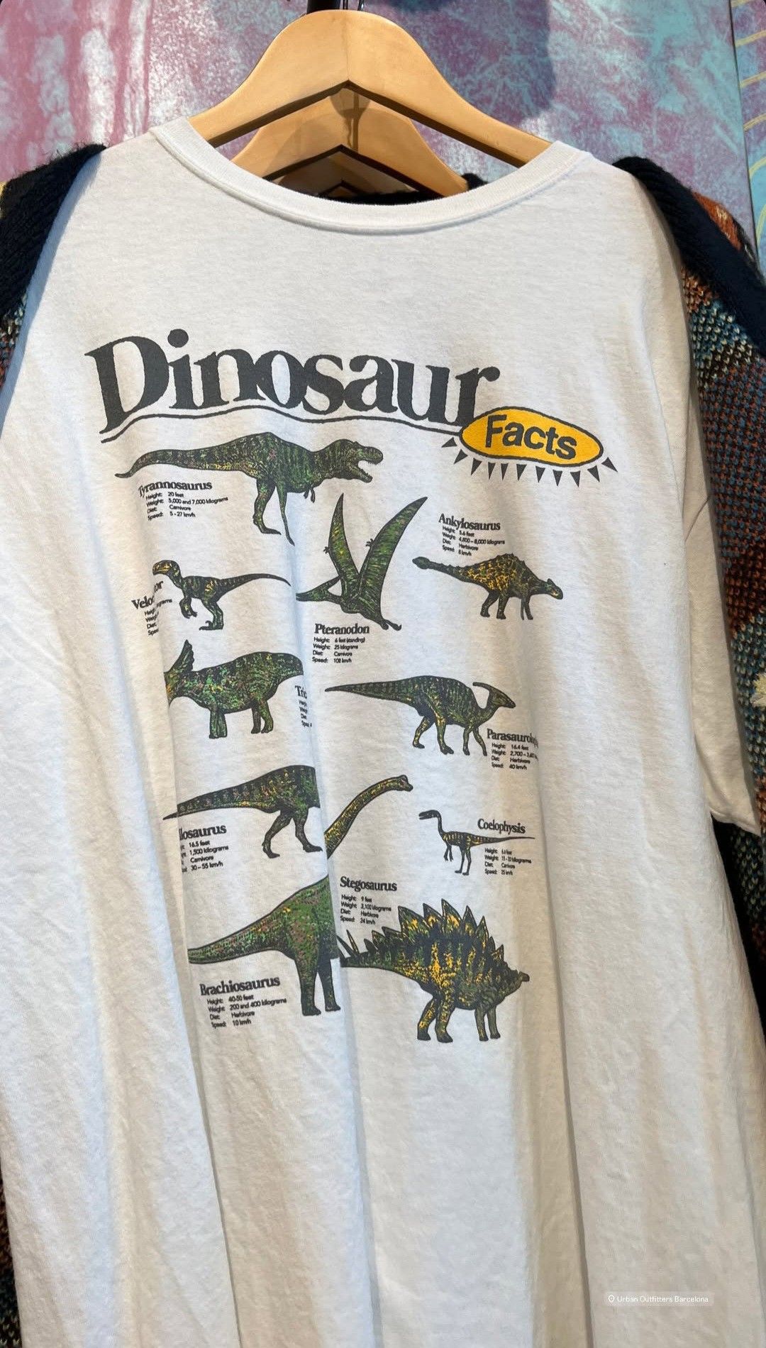 Mood Clothes, Dinosaur Outfit, Silly …