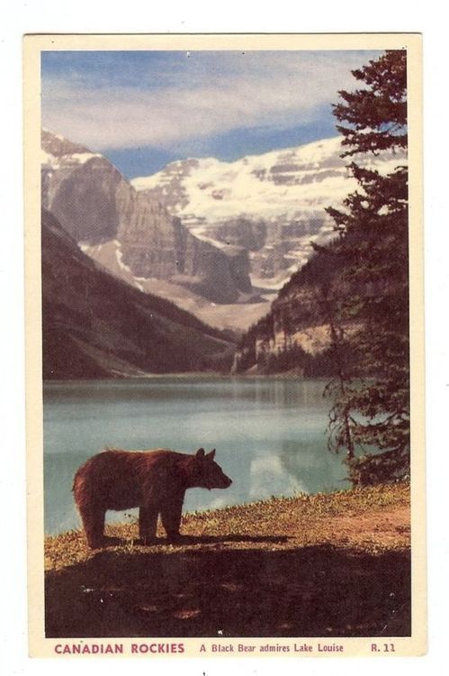 Retro Mountain Adventure Poster, Hik …
