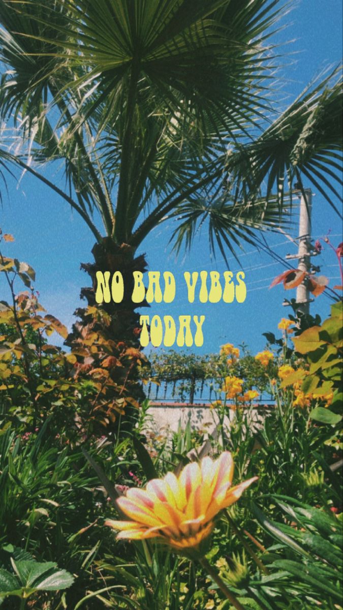 Viby Wallpapers, Chilled Aesthetic,  &hellip;