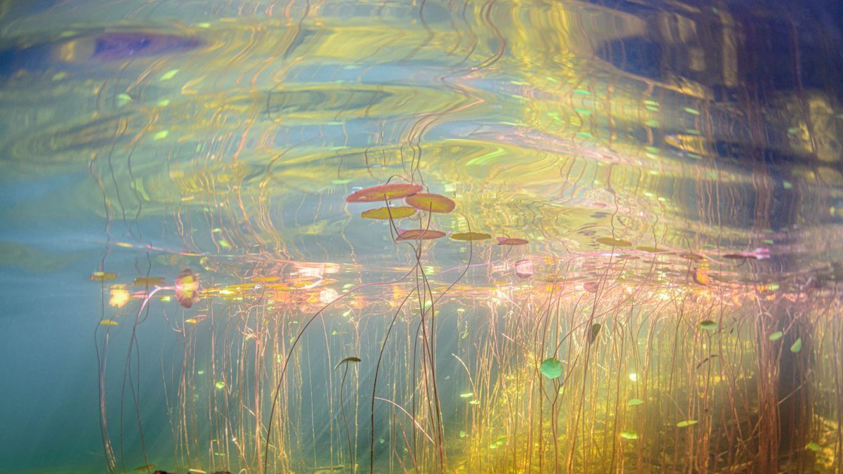 Artsy Computer Wallpaper, Screensave &hellip;