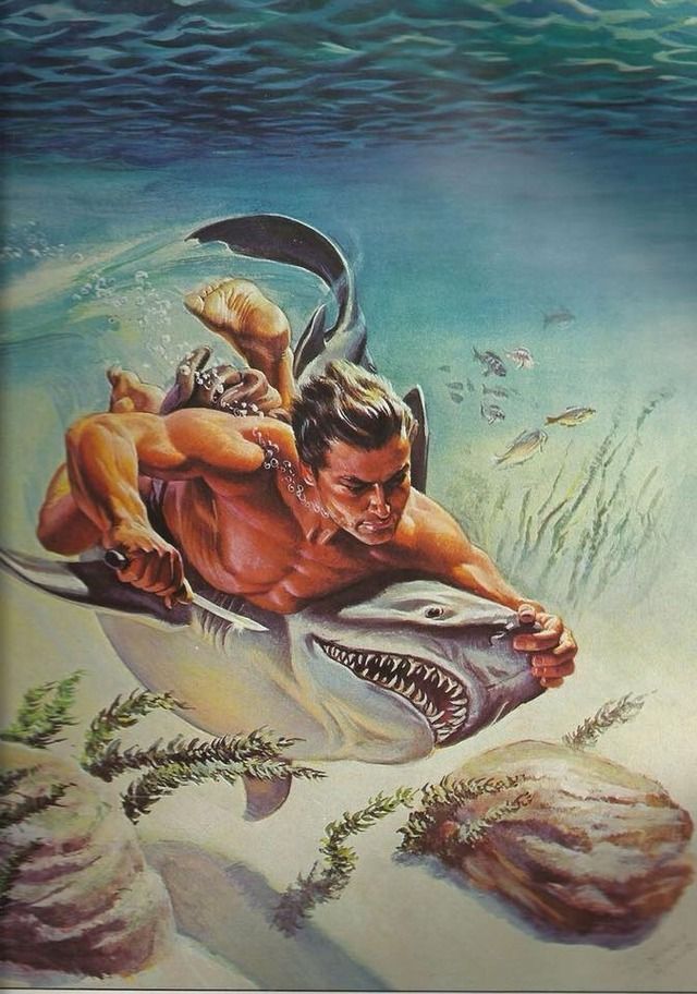 Retro Shark Poster, Ocean Animal Wal …