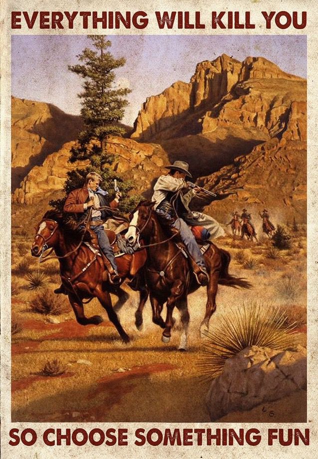 Bronc Riding Drawing, Bucking Bronco …