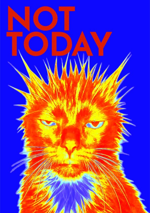 Not Today Poster, Retro Animal Wall …