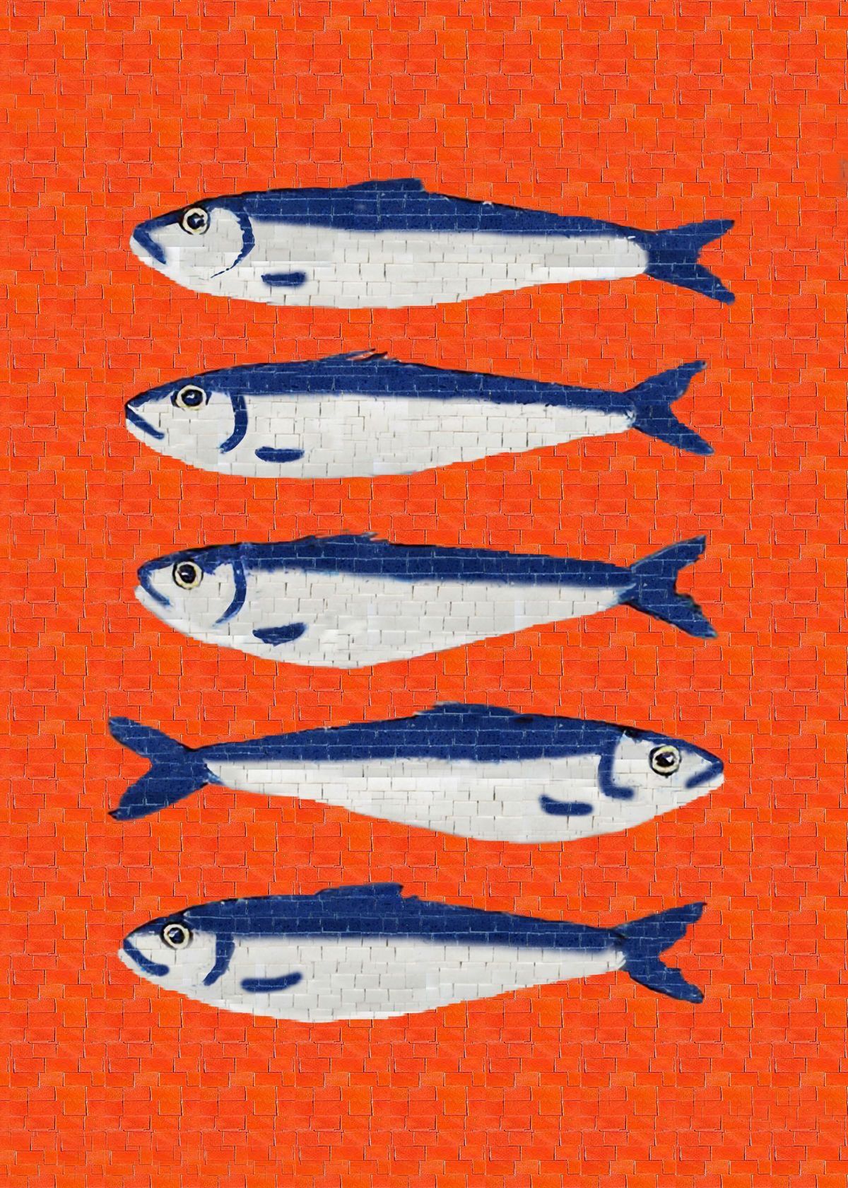 Colorful Fish Print Design, Fish Art …