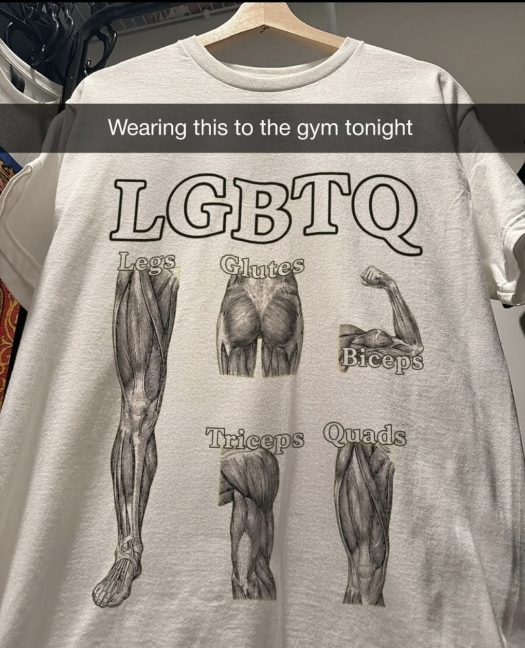 LGBTQ Gym Muscles T-Shirt – Funny  &hellip;