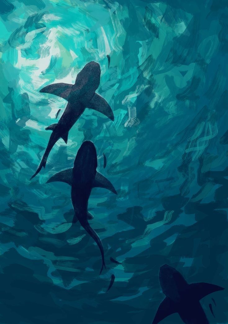 Shark Painting, Simples Peintures Su &hellip;