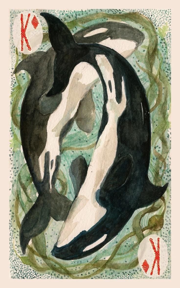 Orca Stickers, Orca Illustration, Or …