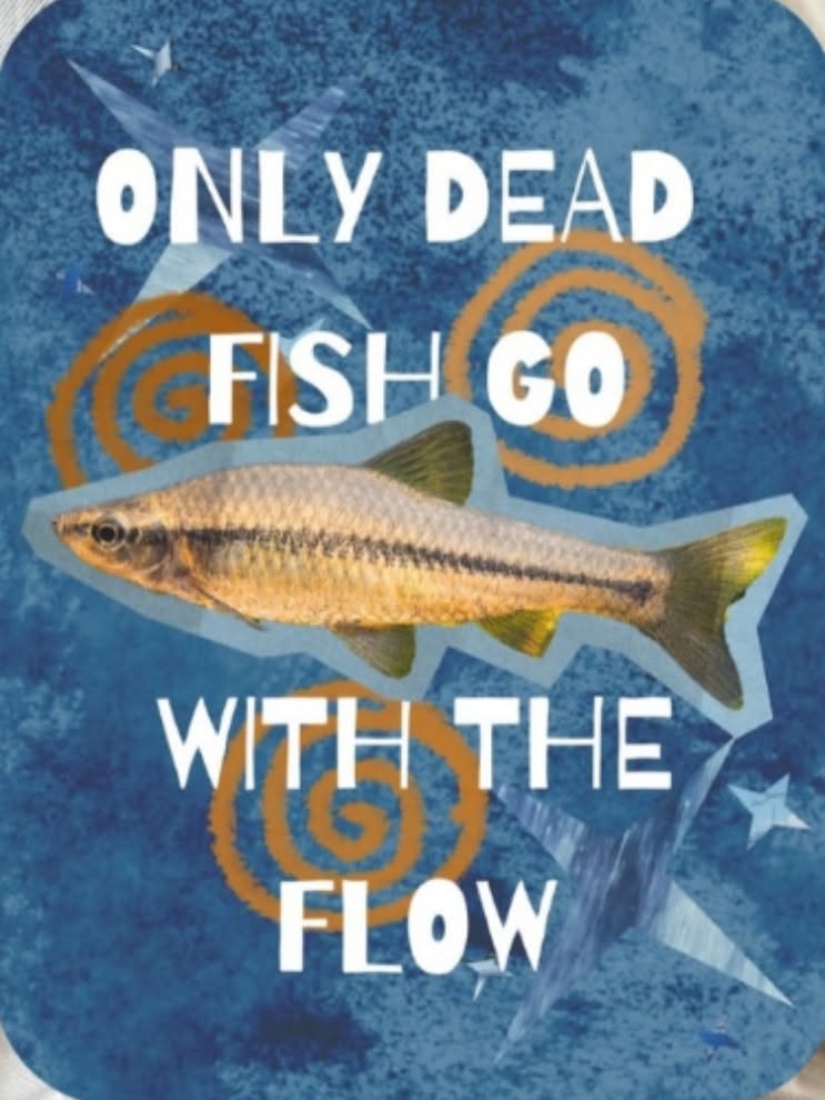 Only Dead Fish Go With the Flow Post …