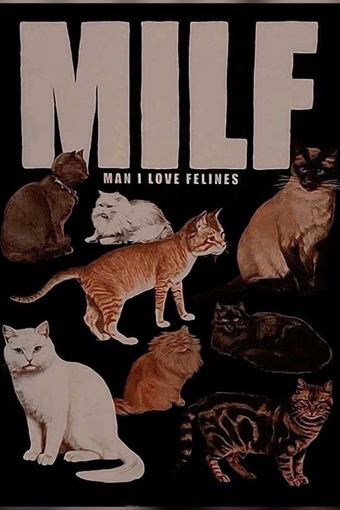 Funny Cat Poster, Retro Animal Wall …
