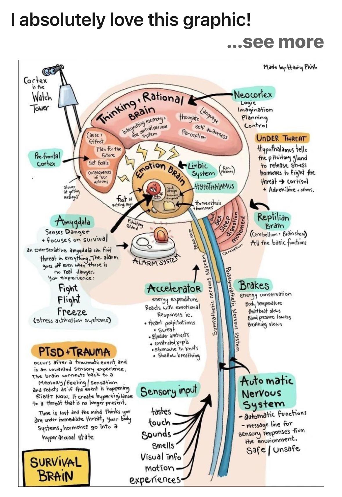 Neurosequential Model, Neuroscience  &hellip;