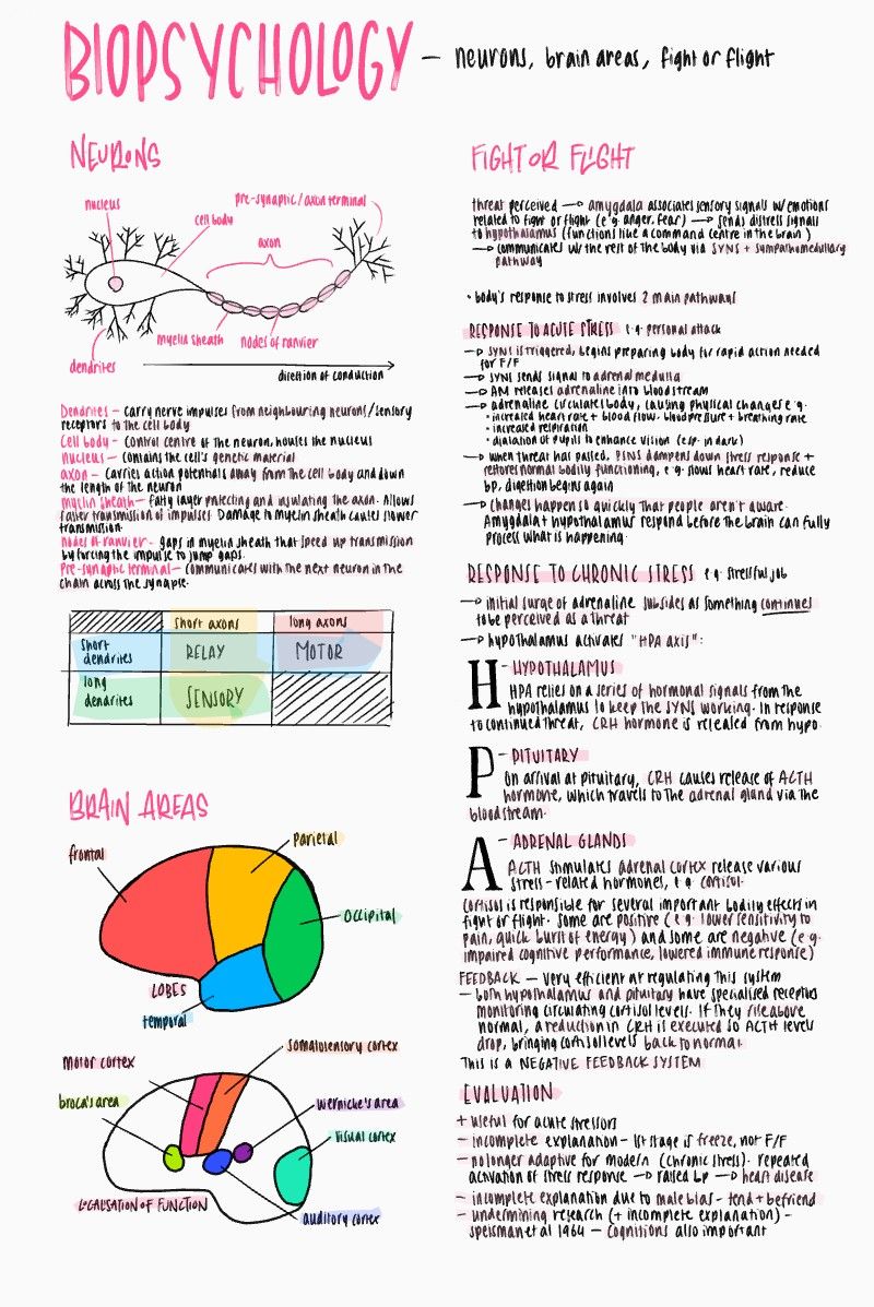 Ba Psychology, College Psychology No &hellip;