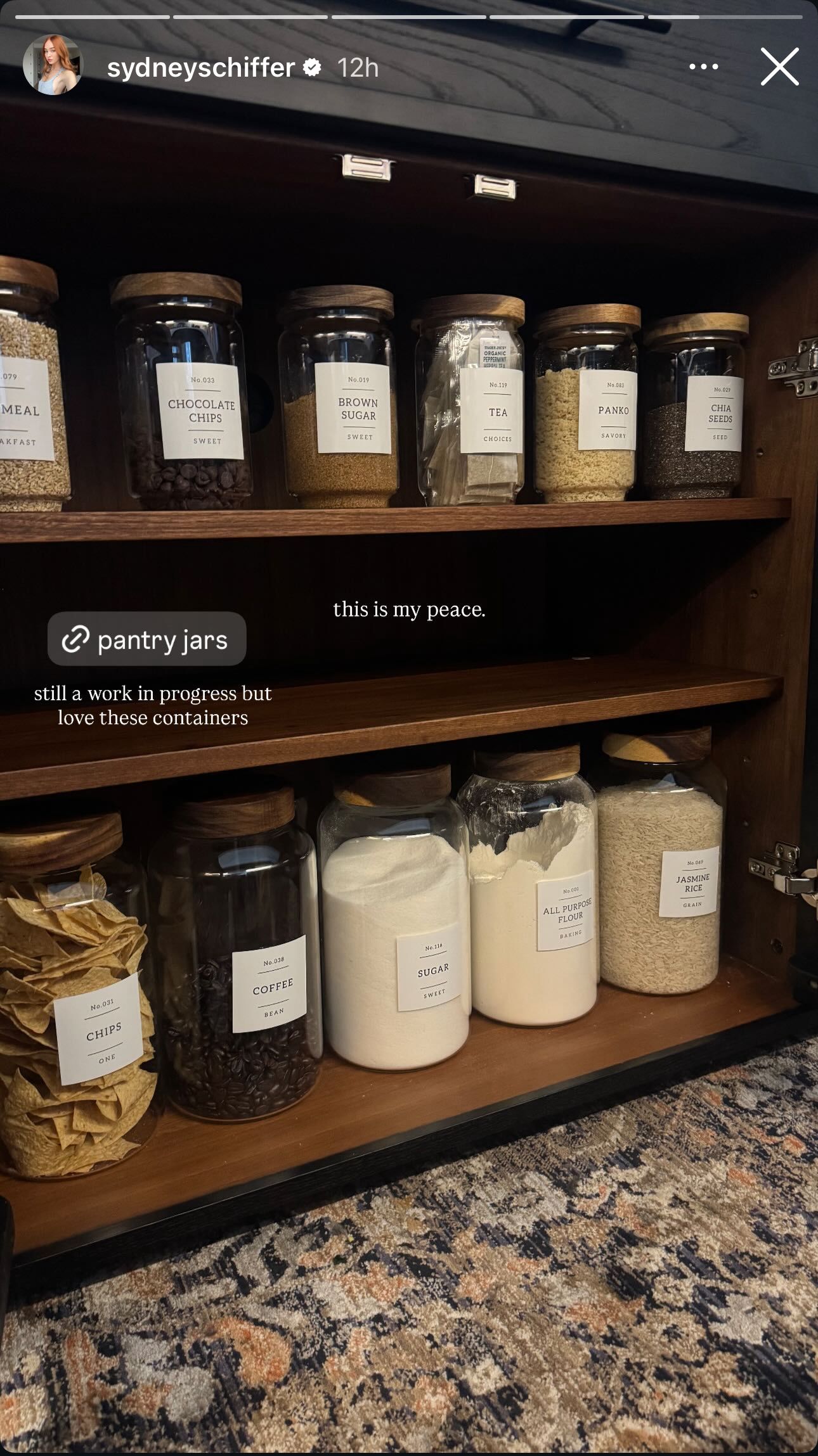 Spice Storage Organizer for Pantry Shelves