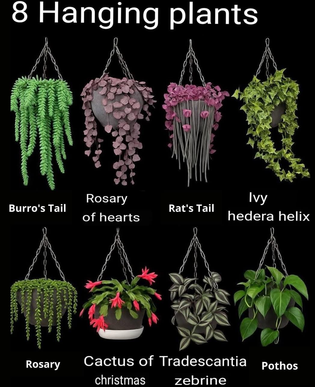 Sims 4 Hanging Plant Ideas, Sims 4 Plant List, Plant Cc Sims 4, Sims 4 Hanging Plants, Sims 4 Hanging Plants Cc, Sims 4 Hanging Succulents, Sims 4 Cc Hanging Plants