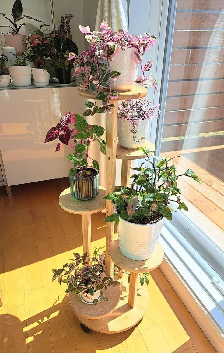 Diy Plant Stand Ideas, How To Style Indoor Plants, Indoor Plant Stand With Colorful Plants, Modern Indoor Plant Decor, Wooden Plant Stand Design