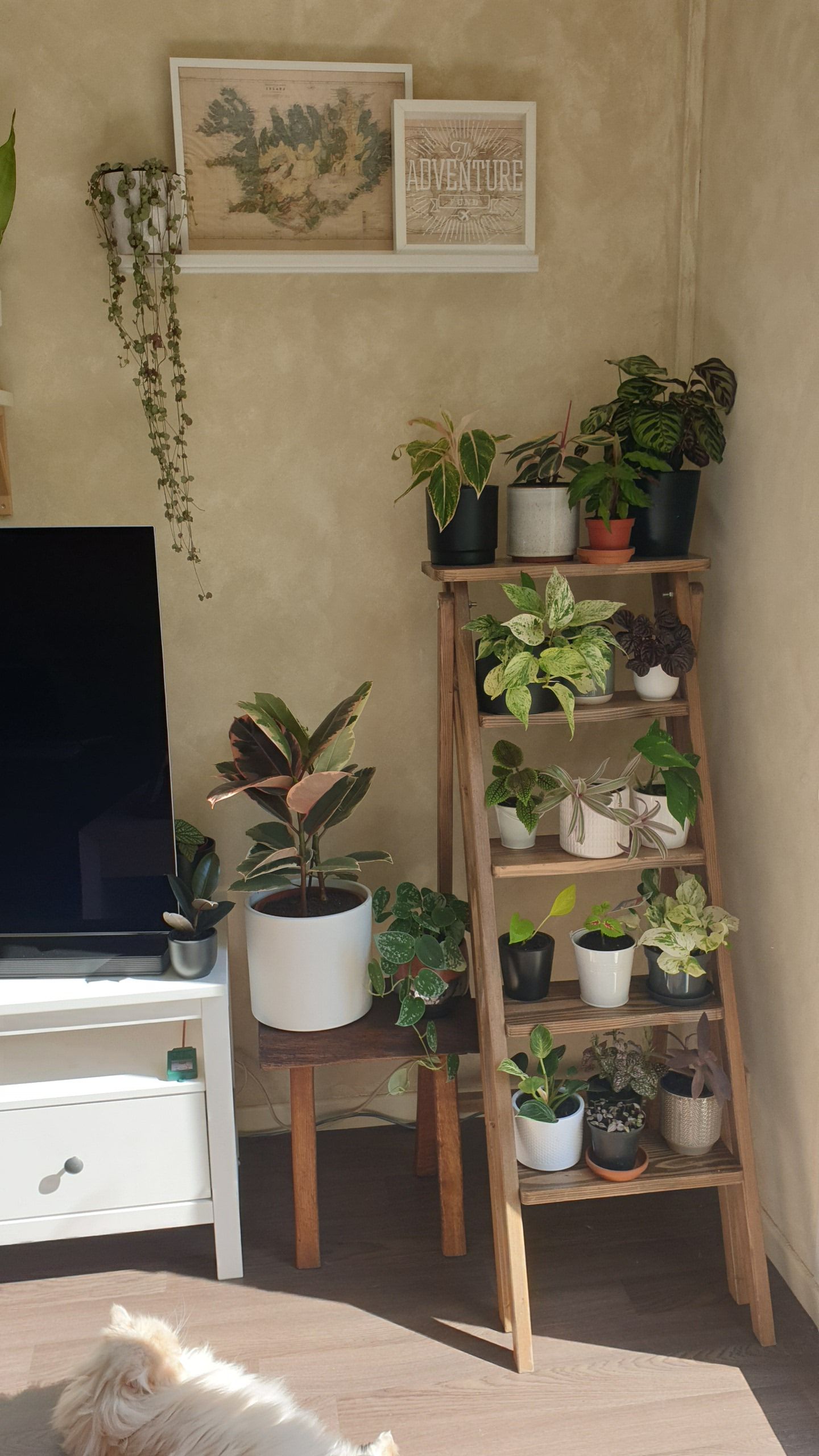 Mini Plant Decor, Minimalist With Plants, Room With Plant, Apartment Plant Decor, Plants Apartment Decor, Fake Plant Room Aesthetic