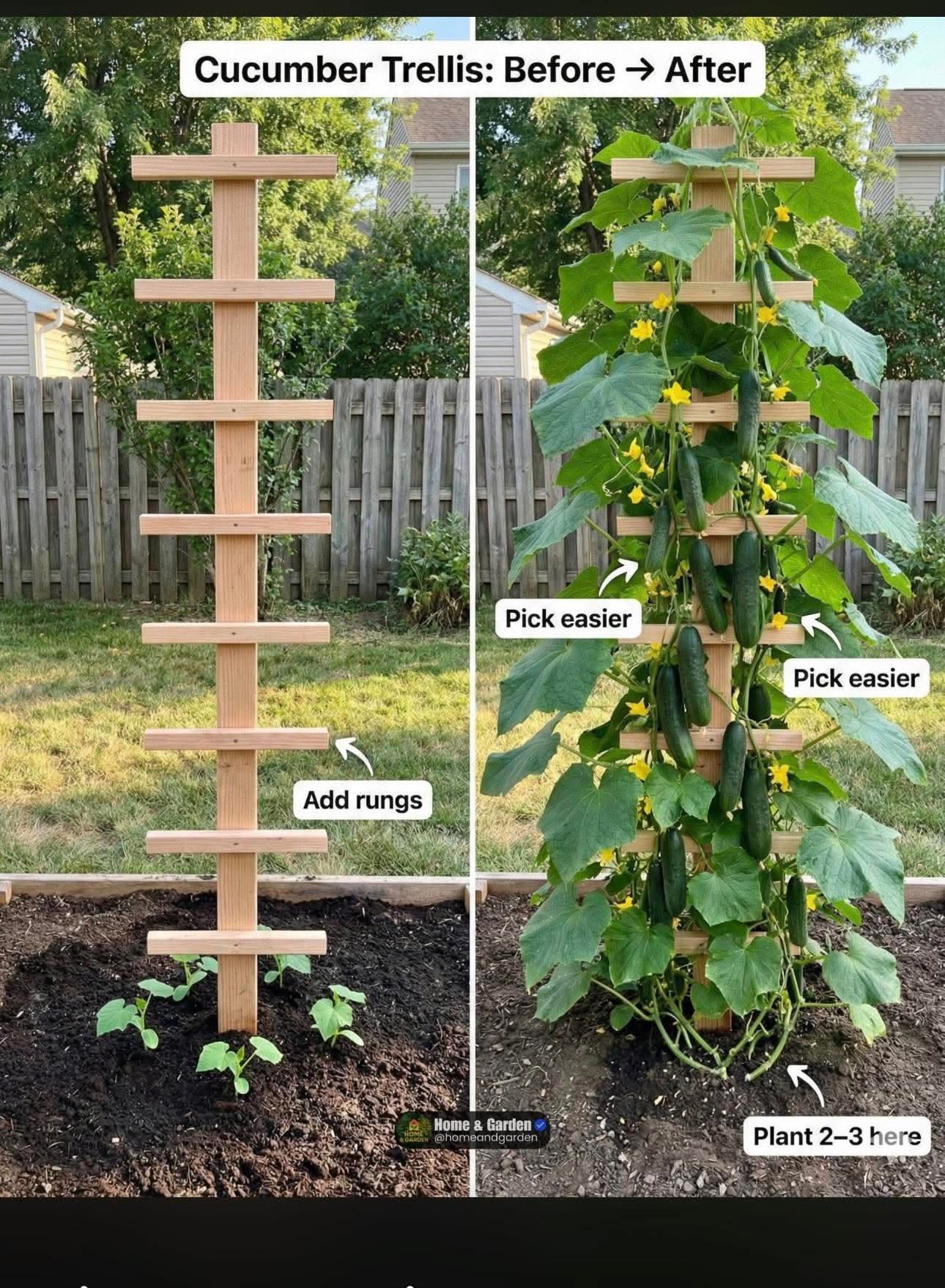 Cucumber And Squash Trellis, Garden Ideas For Small Backyards, Diy Melon Trellis, Diy Easy Garden Ideas, Diy Trellis Garden