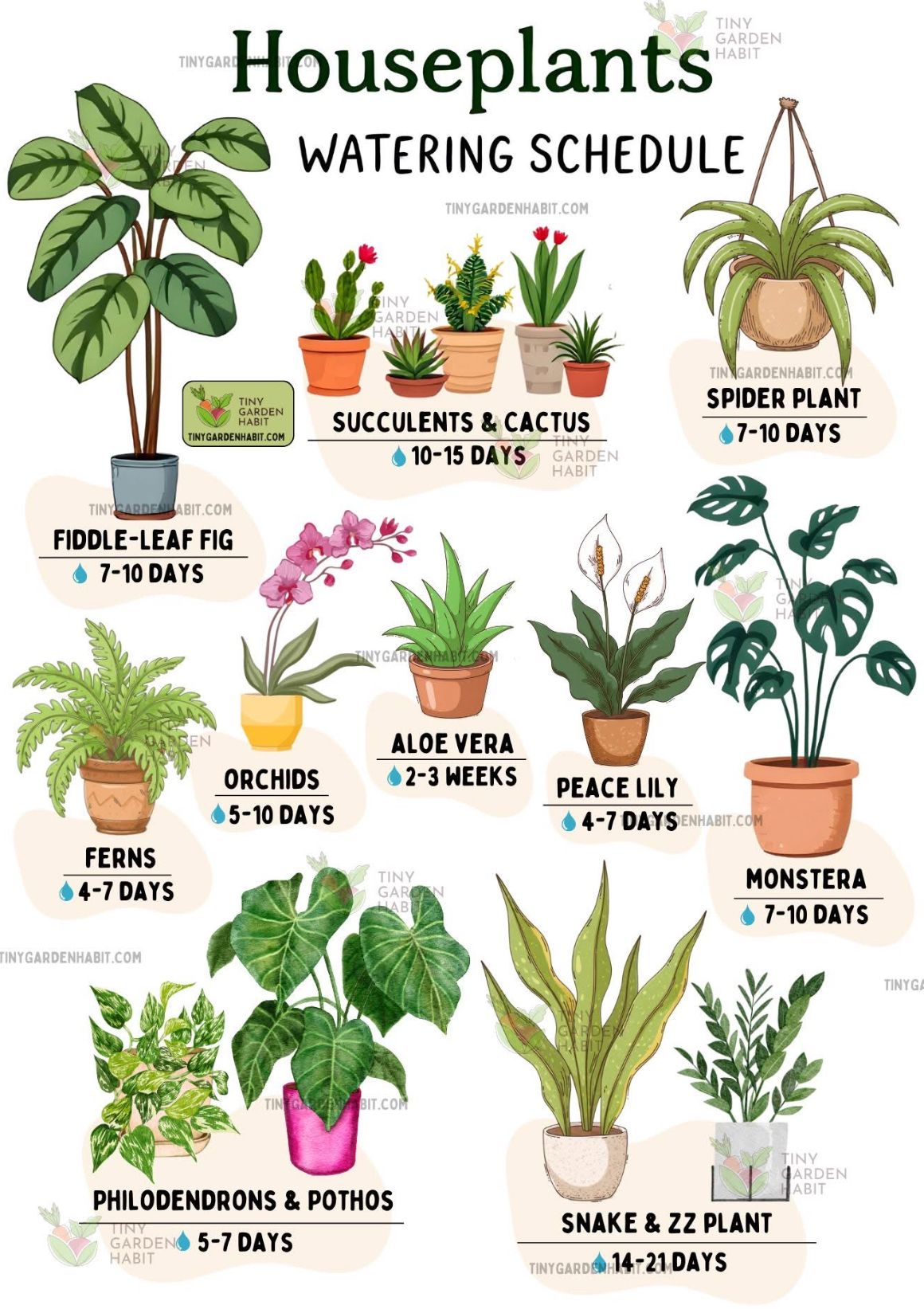 House Plant Care Chart, Indoor Plant Care Schedule, Plant Care Schedule, House Plant Care Guide, Indoor Plant Care Chart, Indoor Plant Watering Chart