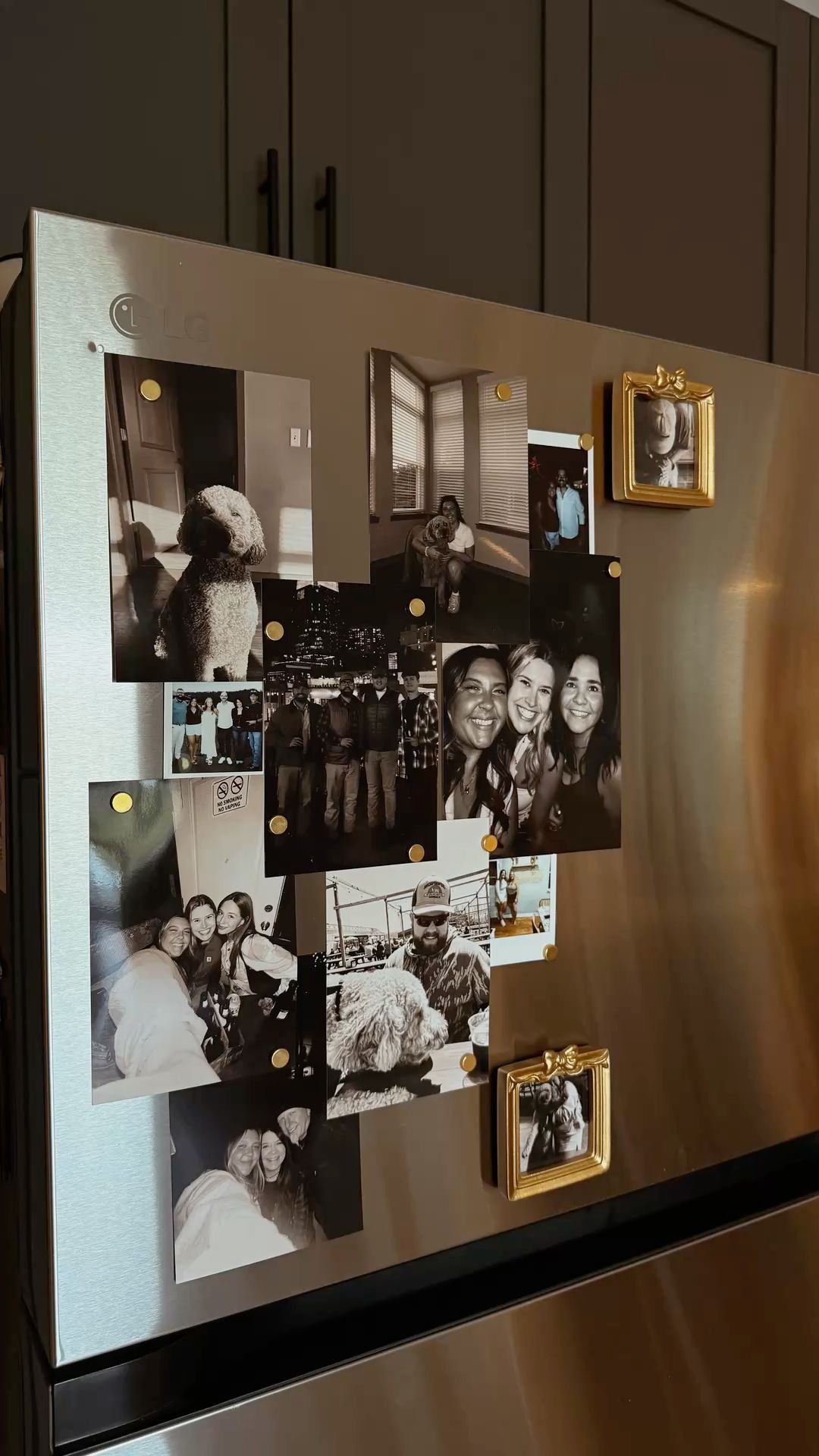 Stainless Steel Refrigerator with Photo Magnets