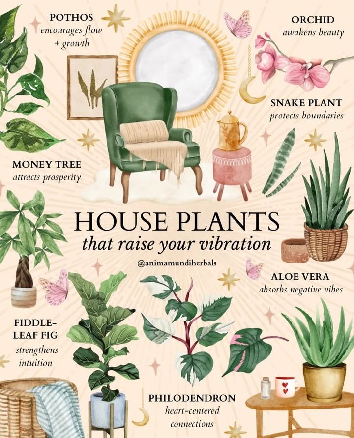 Magical House Plants, Indoor Plants Spiritual Meaning, Healing House Plants, Spiritual Plants For Home, Witchy House Plants, Spiritual Protection House Plants