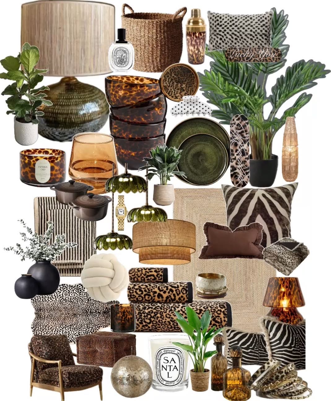 Animal Print Home Decor Mood Board with Plants and Lamps