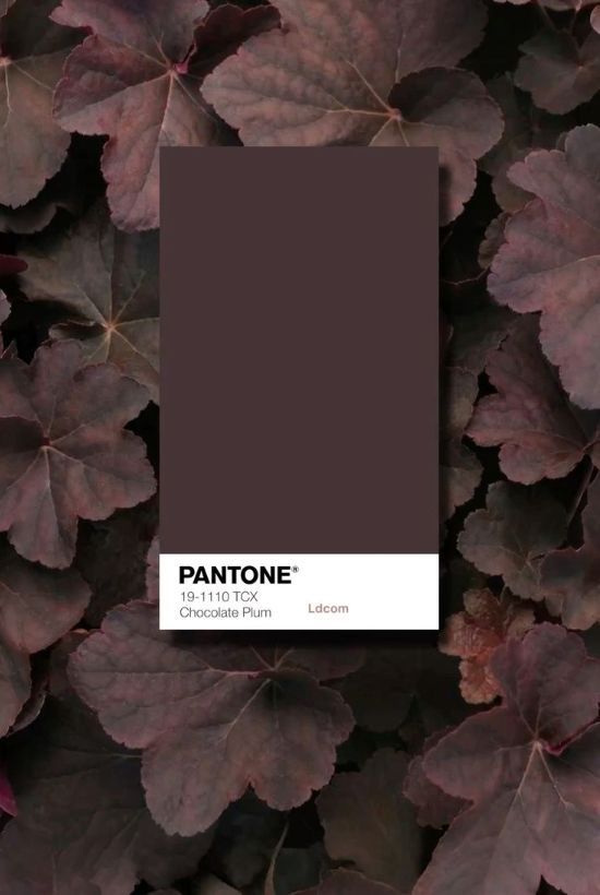Green and Deep Purple Autumn Color Palette