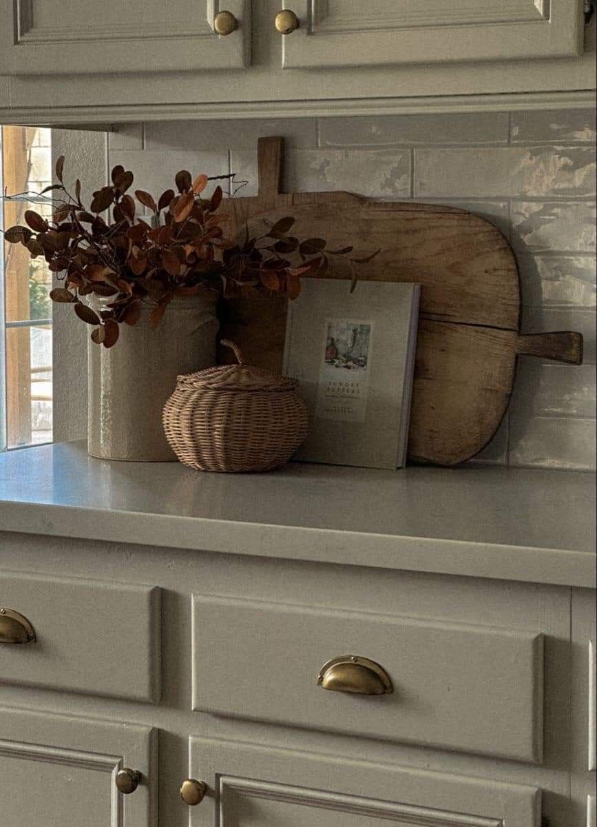 Indoor Potted Plant for Kitchen Counter Styling