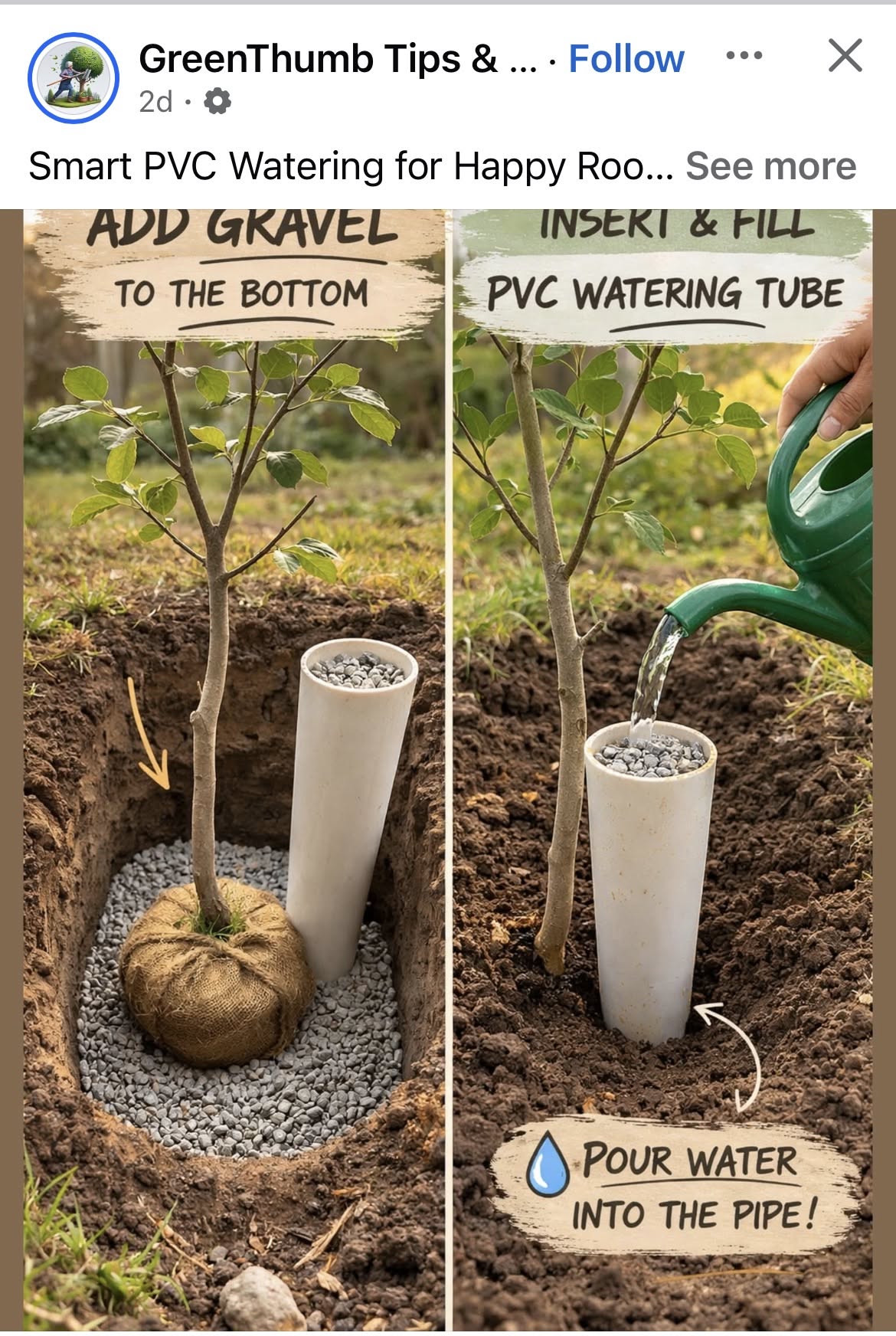 Emerald City, Diy Backyard Landscaping, Vegetable Garden, Backyard Landscaping, Diy Garden, Gardening Tips, House Plants, Yard, Green