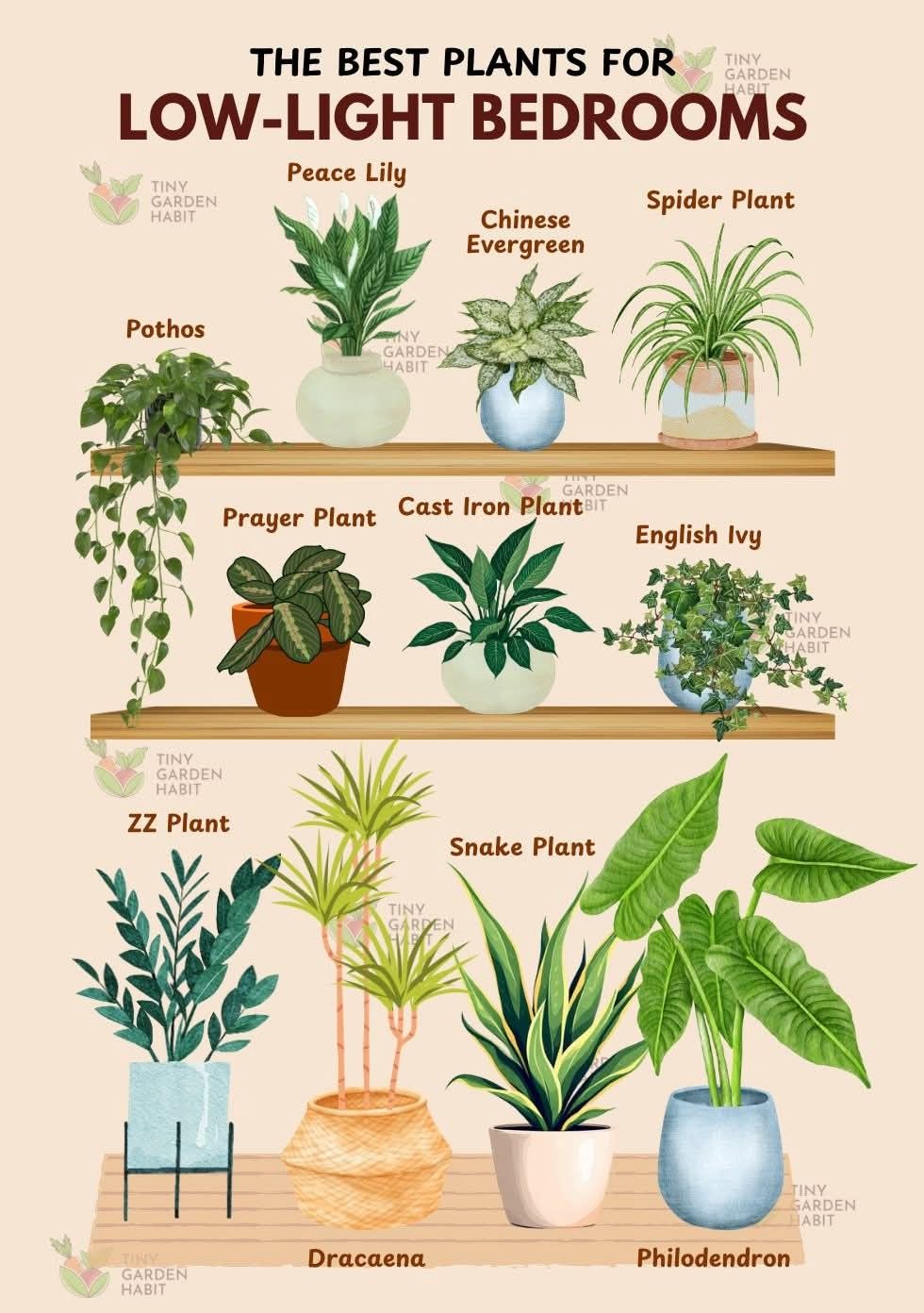 Indoor Bedroom Plants Decor, Good Room Plants, Plant In Room Ideas, Inside Plants Low Light, Fiddle Leaf Fig In Bedroom, Best Plants For Bookshelves