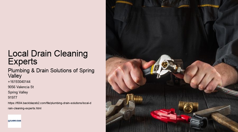 Local Drain Cleaning Experts