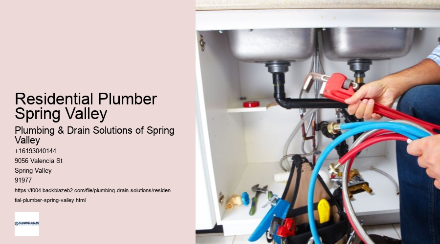 Residential Plumber Spring Valley