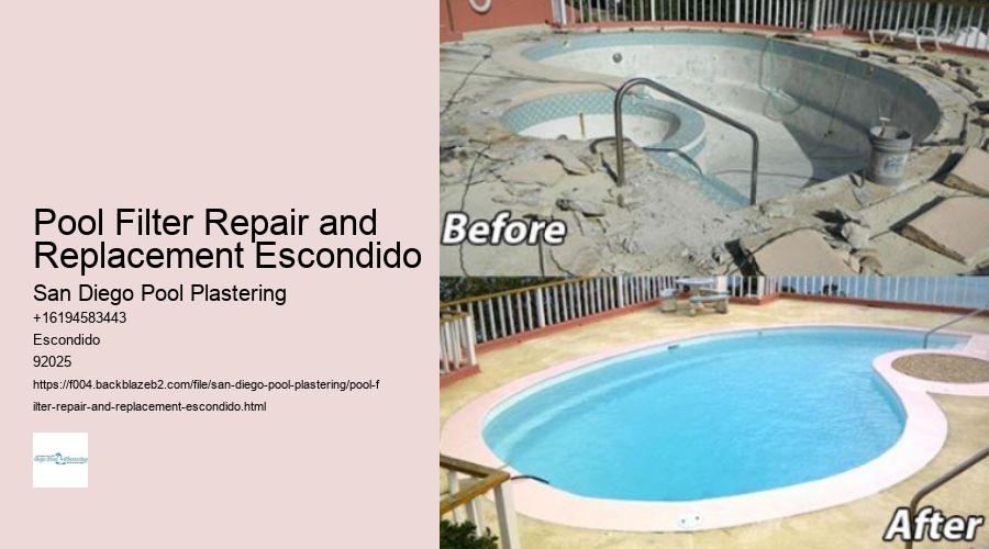 Pool Filter Repair and Replacement Escondido