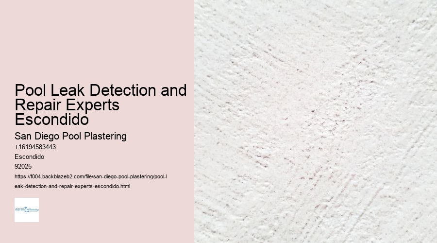 Pool Leak Detection and Repair Experts Escondido