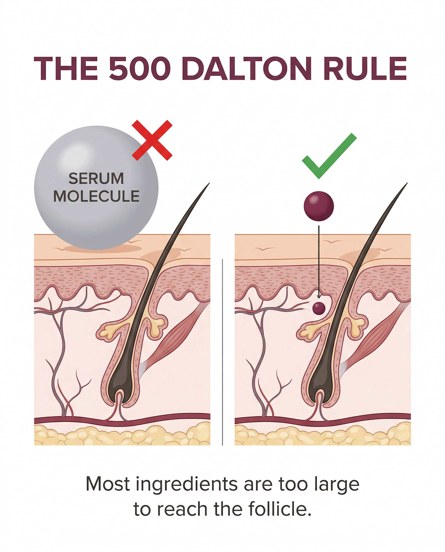 Dalton Rule