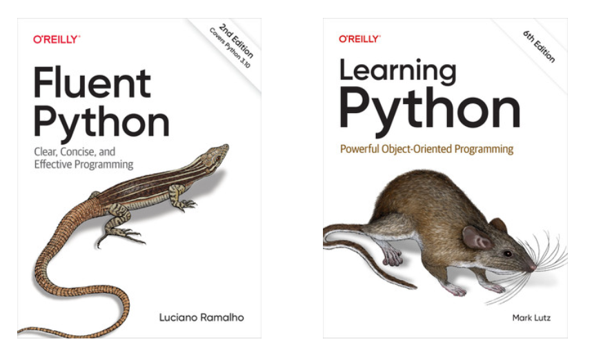 Advanced Python Books for Your Next steps