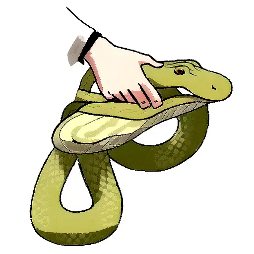 A Handshake Between A Hand And A Snake
