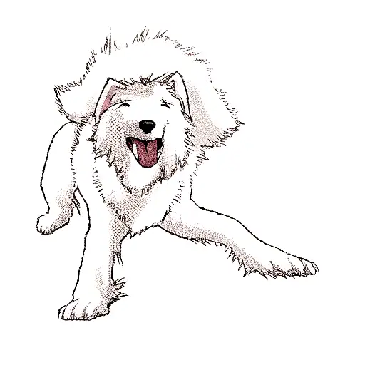 A White Dog