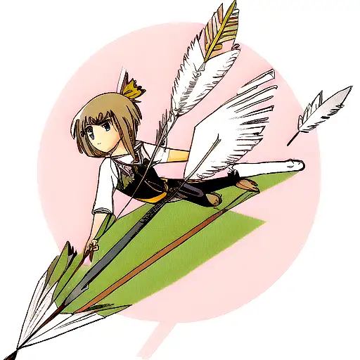 Mended Arrow With Feather