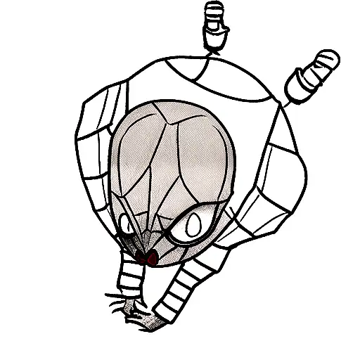 Spider Clown Skin Rip