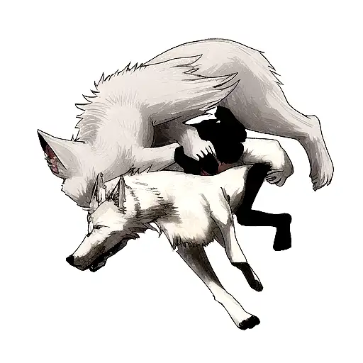 A Fight Which A White Wolf Bite At Another Black Wolf's Neck And Hold It On The Ground