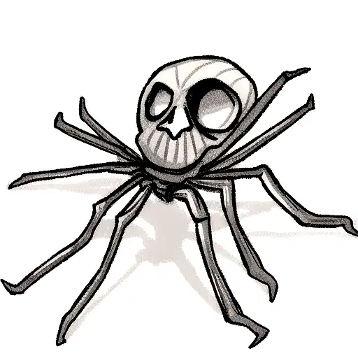 Spider In Skull