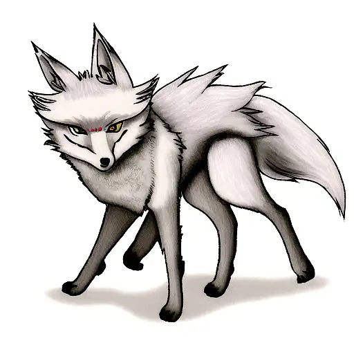 Boreal Wolf Looks Like Fox