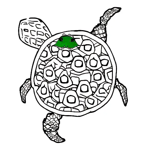 Cute Turtle Eating Pinapple