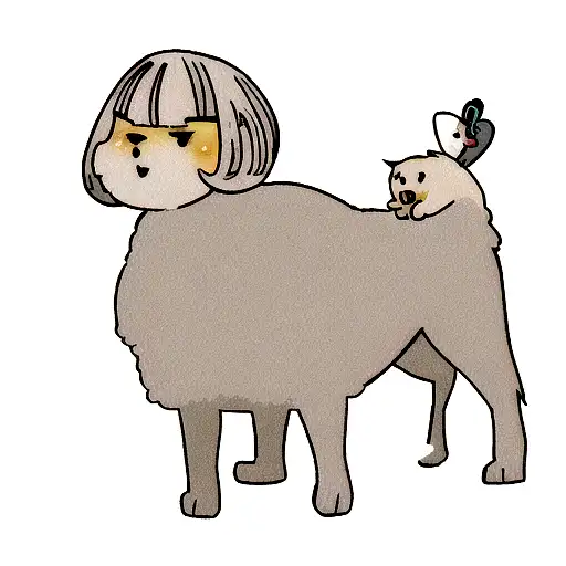 Maltese Dog Looking At Stars