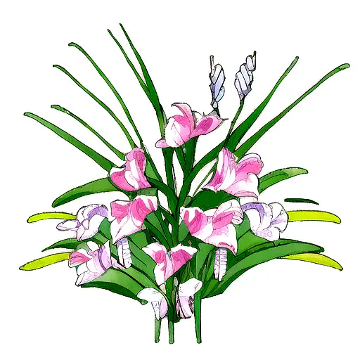 Long Fine Line Gladiolus Stem